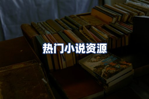 热门小说资源